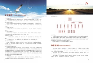 公司介绍